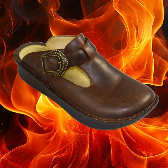 Alegria Classic Brown Oiled Leather Clog, Size 35 (US 5-5.5) - Picture 1 of 10